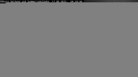 Archiv Foto Webcam Sommerrodelbahn Ödberg 03:00