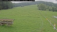 Archiv Foto Webcam Sommerrodelbahn Ödberg 09:00