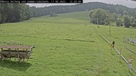 Archiv Foto Webcam Sommerrodelbahn Ödberg 11:00