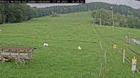 Archiv Foto Webcam Sommerrodelbahn Ödberg 15:00