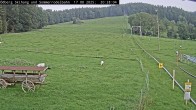 Archiv Foto Webcam Sommerrodelbahn Ödberg 19:00
