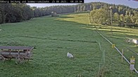 Archiv Foto Webcam Sommerrodelbahn Ödberg 07:00