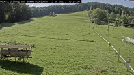 Archiv Foto Webcam Sommerrodelbahn Ödberg 09:00