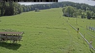 Archiv Foto Webcam Sommerrodelbahn Ödberg 11:00