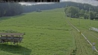 Archiv Foto Webcam Sommerrodelbahn Ödberg 09:00
