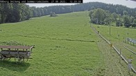 Archiv Foto Webcam Sommerrodelbahn Ödberg 11:00