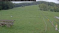 Archiv Foto Webcam Sommerrodelbahn Ödberg 03:00