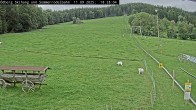 Archiv Foto Webcam Sommerrodelbahn Ödberg 15:00