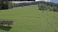 Archived image Webcam Alpine Slide Ödberg-Flizzer 11:00