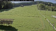 Archiv Foto Webcam Sommerrodelbahn Ödberg 09:00