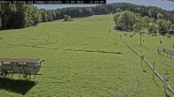 Archiv Foto Webcam Sommerrodelbahn Ödberg 11:00