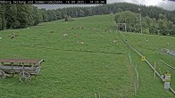 Archiv Foto Webcam Sommerrodelbahn Ödberg 13:00