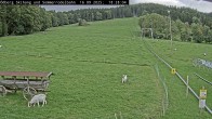 Archiv Foto Webcam Sommerrodelbahn Ödberg 17:00