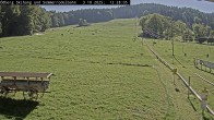 Archiv Foto Webcam Sommerrodelbahn Ödberg 11:00