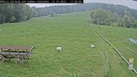 Archiv Foto Webcam Sommerrodelbahn Ödberg 17:00