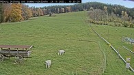 Archived image Webcam Alpine Slide Ödberg-Flizzer 15:00