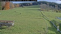Archiv Foto Webcam Sommerrodelbahn Ödberg 13:00