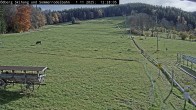 Archiv Foto Webcam Sommerrodelbahn Ödberg 11:00
