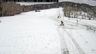Archiv Foto Webcam Sommerrodelbahn Ödberg 11:00
