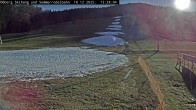 Archiv Foto Webcam Sommerrodelbahn Ödberg 11:00