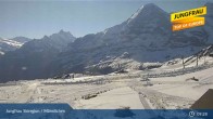 Archiv Foto Webcam Wengen - Männlichen 08:00