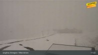 Archiv Foto Webcam Wengen - Männlichen 16:00