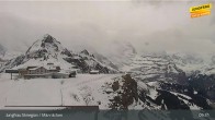 Archiv Foto Webcam Wengen - Männlichen 08:00