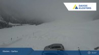 Archived image Webcam Alp Garfiun (Klosters) 10:00