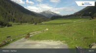 Archived image Webcam Alp Garfiun (Klosters) 08:00