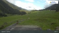 Archived image Webcam Alp Garfiun (Klosters) 08:00