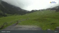 Archived image Webcam Alp Garfiun (Klosters) 14:00