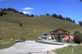 Archiv Foto Webcam Walleralm im Oberen Sudelfeld 09:00