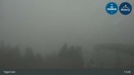 Archiv Foto Webcam Bergstation am Wallberg auf 1620 Meter 12:00
