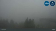 Archiv Foto Webcam Bergstation am Wallberg auf 1620 Meter 14:00