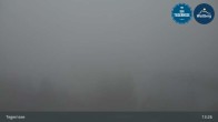 Archiv Foto Webcam Bergstation am Wallberg auf 1620 Meter 12:00