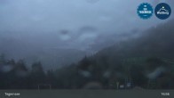 Archiv Foto Webcam Bergstation am Wallberg auf 1620 Meter 16:00