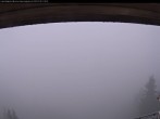 Archiv Foto Webcam Bergstation Laberbahn 11:00