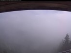 Archiv Foto Webcam Bergstation Laberbahn 15:00