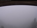 Archiv Foto Webcam Bergstation Laberbahn 11:00