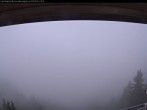Archiv Foto Webcam Bergstation Laberbahn 11:00