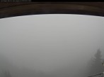 Archiv Foto Webcam Bergstation Laberbahn 11:00