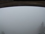 Archiv Foto Webcam Bergstation Laberbahn 17:00