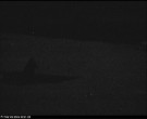 Archived image Webcam Parking lot Luttensee (1.058 m) 01:00