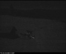 Archiv Foto Webcam Parkplatz Luttensee (1.058 m) 01:00