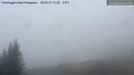 Archiv Foto Webcam Bad Hofgastein: Ausblick Haitzingalm 11:00