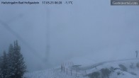 Archiv Foto Webcam Bad Hofgastein: Ausblick Haitzingalm 05:00
