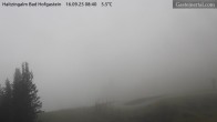 Archiv Foto Webcam Bad Hofgastein: Ausblick Haitzingalm 08:00
