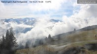 Archiv Foto Webcam Bad Hofgastein: Ausblick Haitzingalm 09:00