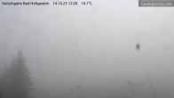 Archived image Webcam Haitzingalm View - Bad Hofgastein 11:00