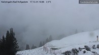 Archiv Foto Webcam Bad Hofgastein: Ausblick Haitzingalm 13:00